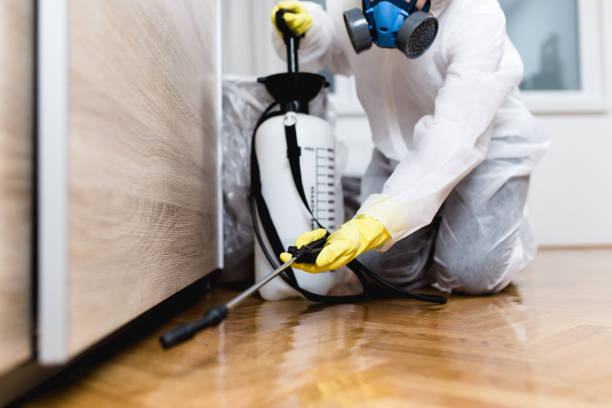Best Pest Control Treatment  in Spring Grove, MN
