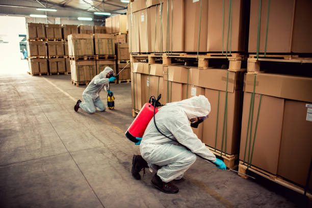 Best Flea Control Services  in Spring Grove, MN