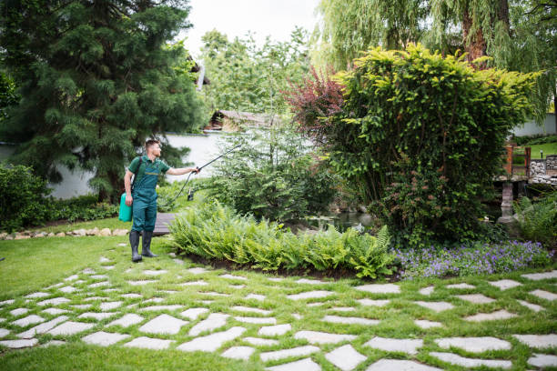 Trusted Spring Grove, MN Pest Control Experts