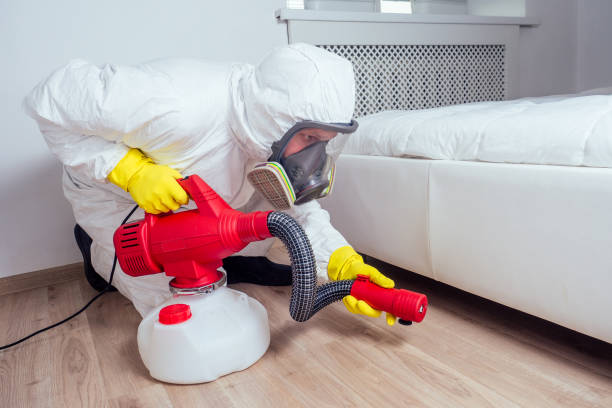 Best Pest Prevention Services  in Spring Grove, MN