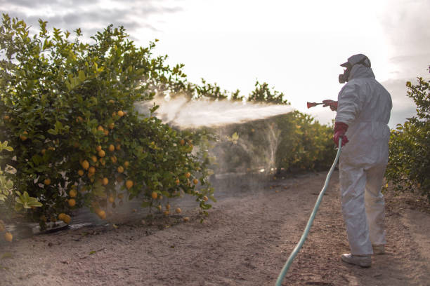Best Pest Control Near Me  in Spring Grove, MN