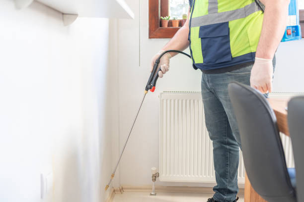 Best Affordable Pest Control Services  in Spring Grove, MN