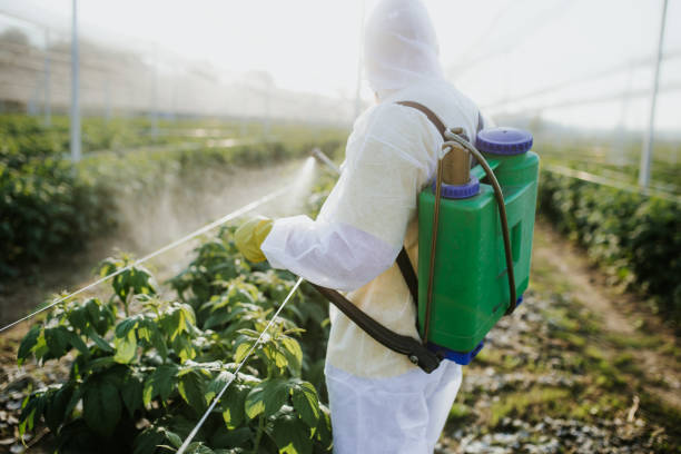 Best Residential Pest Control  in Spring Grove, MN